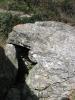 Le dolmen photographi depuis la route